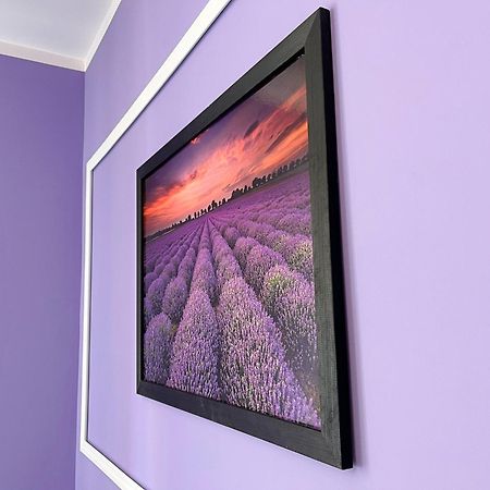 Apartament Lawendowy Wałbrzych Dış mekan fotoğraf