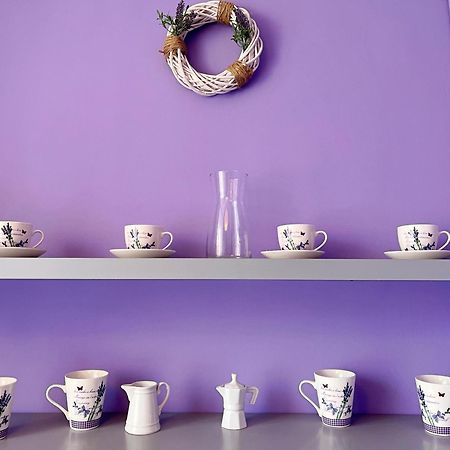 Apartament Lawendowy Wałbrzych Dış mekan fotoğraf
