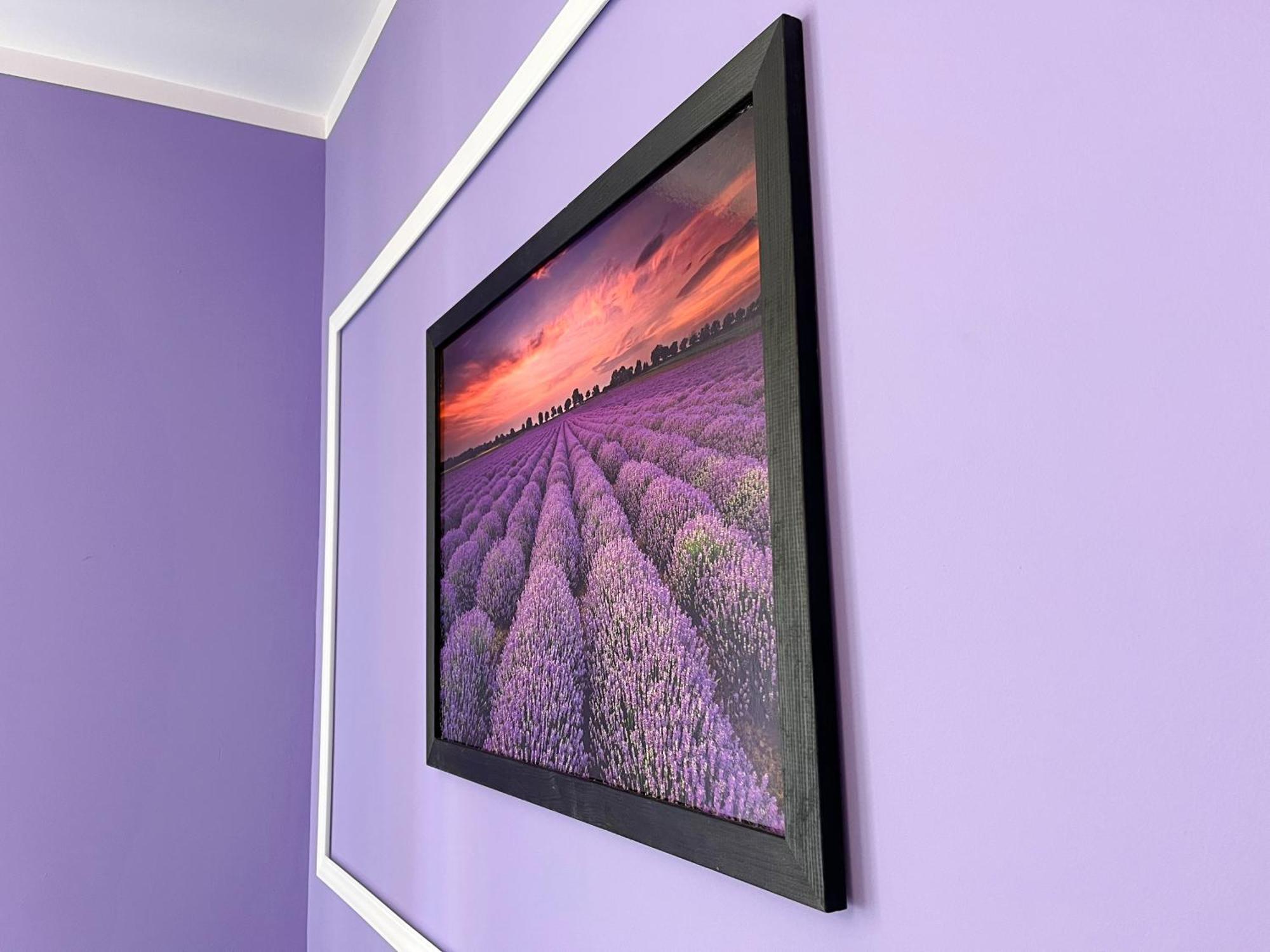 Apartament Lawendowy Wałbrzych Dış mekan fotoğraf